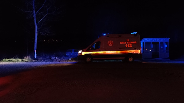 Bilecik'te tarlaya devrilen otomobildeki bir kişi yaralandı