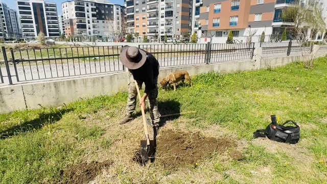 'Doğa' için köpeğiyle Türkiye'yi gezen Seyyah Ömer, Osmaniye'de fidan dikti