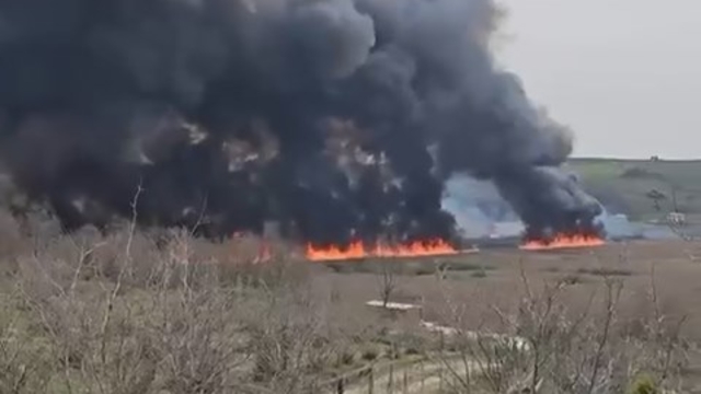Sakarya'da başlayan yangın Kocaeli'ye sıçradı, 12 hektar ağaçlık alan yandı / Yeniden