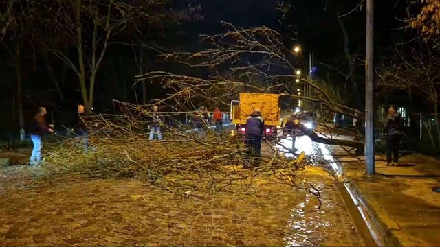 Edirne'de sağanak etkili oldu (3)