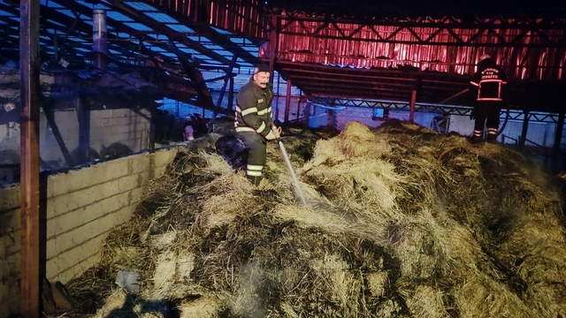 Burdur'da çıkan yangında samanlık, odunluk ve traktör yandı