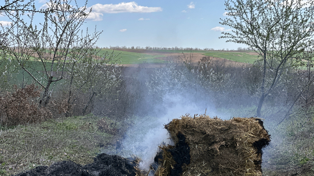 Sıcaklığın düştüğü Edirne'de üreticiler, badem ağaçlarını 'dumanlama' yöntemi ile koruyor