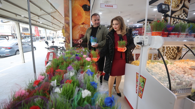 Iğdır'da yetiştirilen semeniler, Nevruz Bayramı için hazırlanıyor