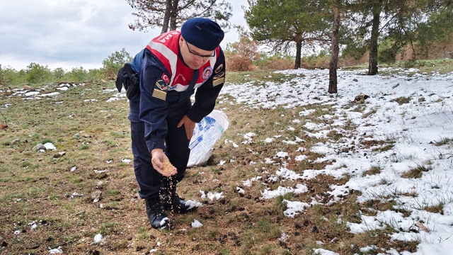 Yozgat'ta jandarma ekipleri yaban hayatı için doğaya yem bıraktı