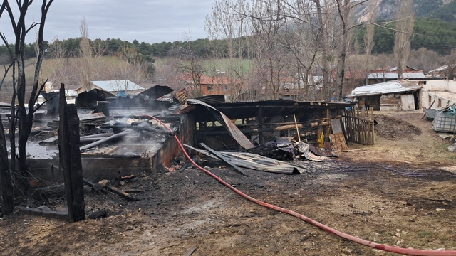 Bolu'da çıkan yangında ev, ahır ve odunluk kullanılamaz hale geldi