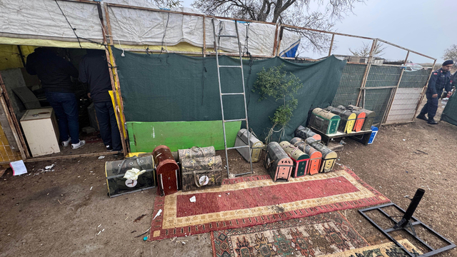 Tekirdağ'da horoz dövüştürenlere baskın; 28 kişiye 258 bin lira ceza