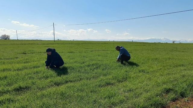 Beyşehir'den kısa kısa