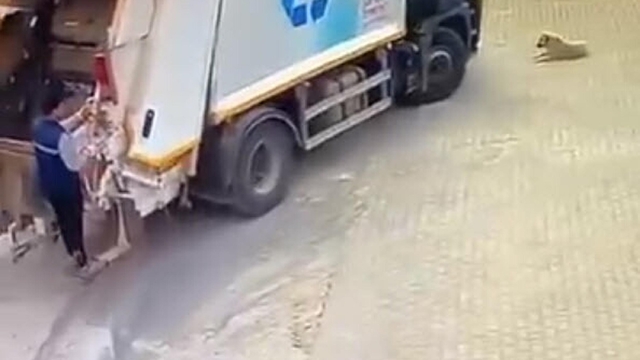 Çöp kamyonu, sokakta oturan köpeği ezerek öldürdü; o anlar kamerada