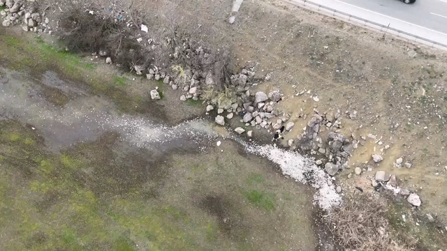 Bursa Ovası'nın besleyen barajda toplu balık ölümü