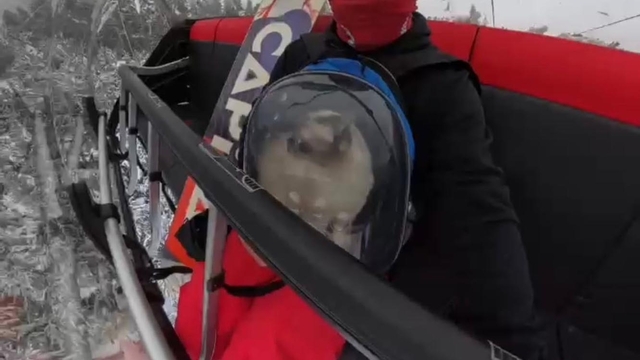Kedisiyle snowboard yaptı