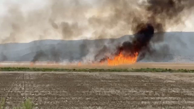 Gala Gölü Milli Parkı'nda sazlık alanda çıkan yangın söndürüldü