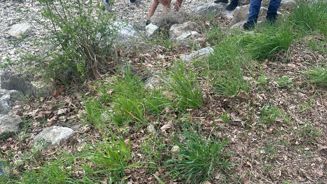 Sapanca Gölü'nde kum fırtınasına yakalanan 2 kano sporcusu kayboldu (1)