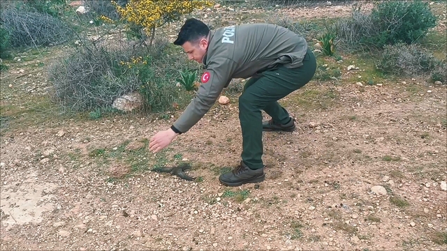 Mersin'de yaralı bulunan ebabil kuşu tedaviye alındı