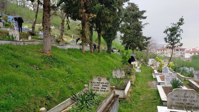 Düzce'den kısa kısa