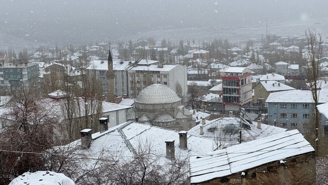 Başkale'de 'kar' sürprizi