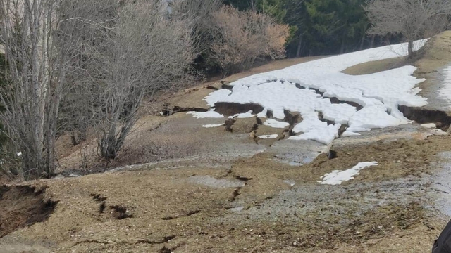 Artvin'de ormanda heyelan; ağaçların devrilme anı kamerada