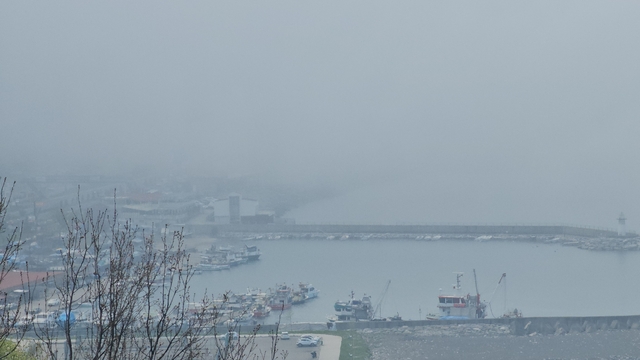 Zonguldak'ta sis etkili oldu