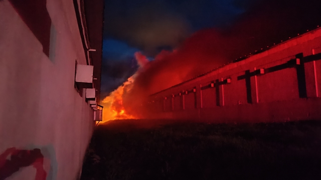 Bilecik'te tavuk çiftliği yangında hasar gördü