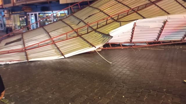 Aydın'da kuvvetli rüzgar; çatılar uçtu, ağaçlar devrildi