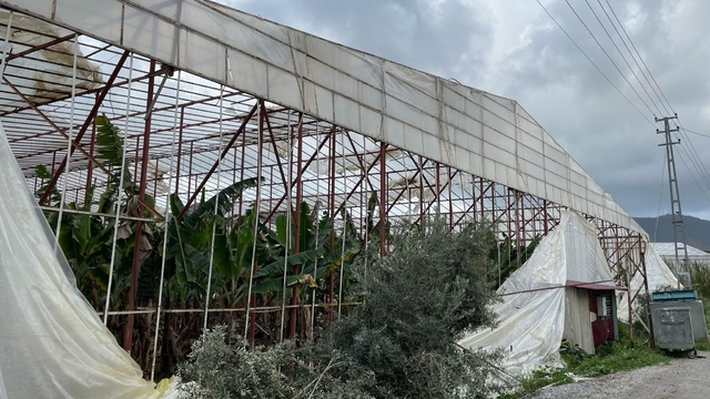 Mersin'de hortum bazı seralara zarar verdi
