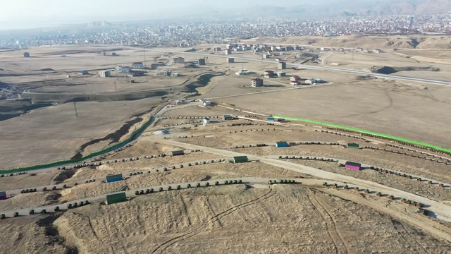 Van'da sahipsiz köpekler doğal yaşam alanında sağlıklı bir yaşam sürdürüyor