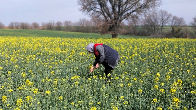 Kırklareli'nden kısa kısa