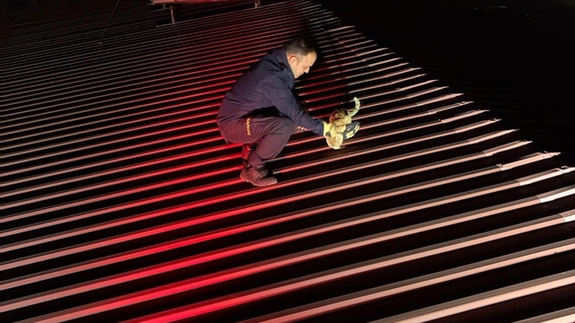 Hatay'da evin çatısında mahsur kalan kediyi itfaiye ekibi kurtardı