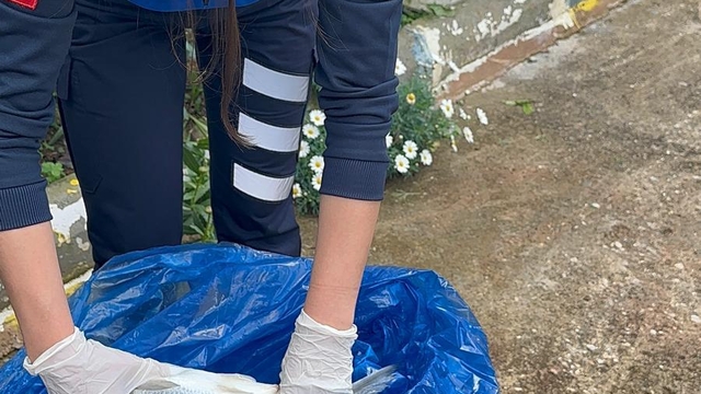 Alanya'da 85 kilogram bayat balık ele geçirildi