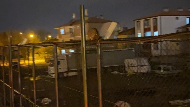 Erzincan'da aydınlatma direğinde mahsur kalan kediyi itfaiye kurtardı