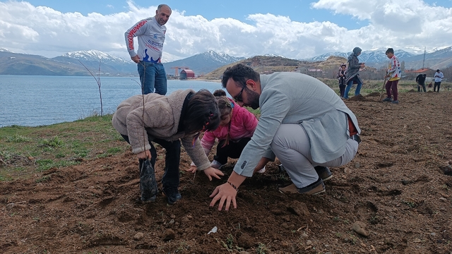 Bitlis'te badem fidanları toprakla buluşturuldu