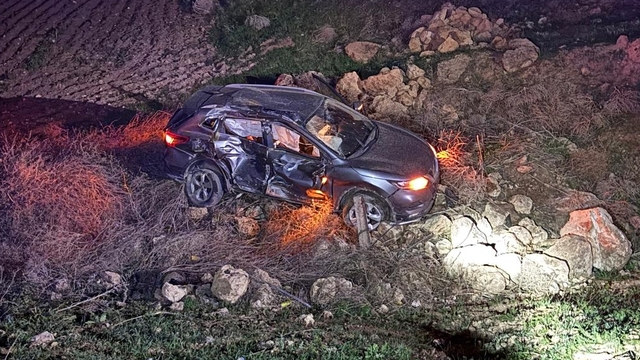 Siirt'te şarampole devrilen otomobildeki 2 kişi yaralandı