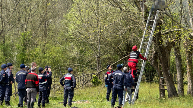 Bartın'da budamak için çıktığı ağaçta fenalaşan kişi öldü