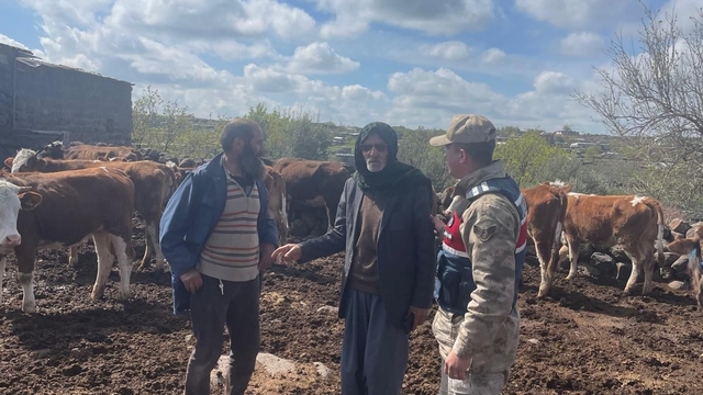 Şanlıurfa'da 13 büyükbaş hayvan çalan şüpheli yakalandı
