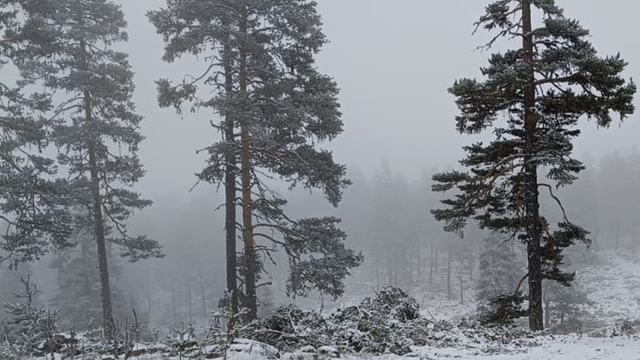Beypazarı'ndaki yaylalarda kar yağışı etkili oldu