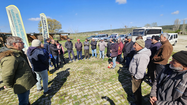 Eceabat'ta zeytin üreticilerine budama ve aşılama eğitimi verildi