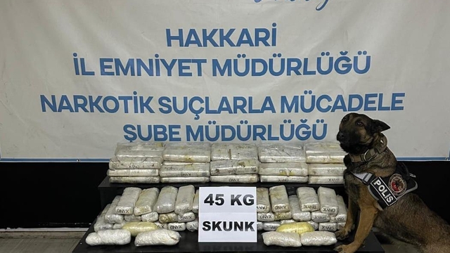 Hakkari'de tırın dorsesinde 61 kilogram uyuşturucu ele geçirildi