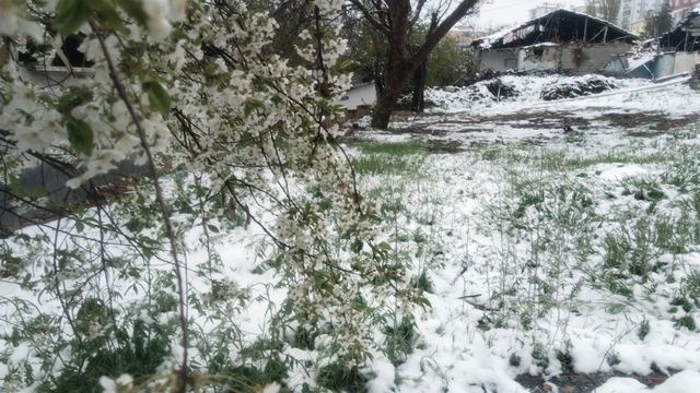 Çorum'da kar yağışı