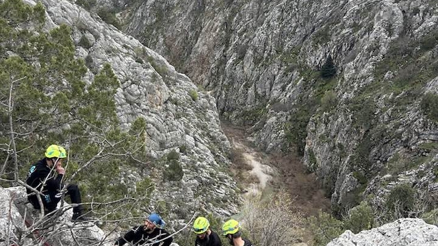 Konya'da kaybolan keçilerden 20'si kurtların saldırısı sonucu telef oldu