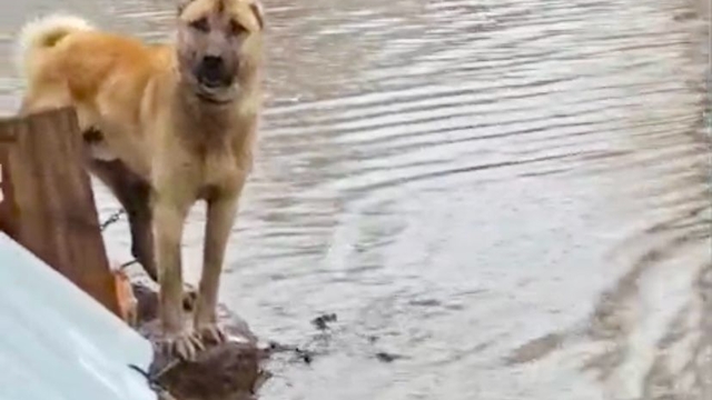 Kars'ta sağanak sele neden oldu