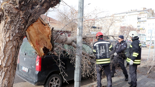 Erzurum'da fırtına; çatılar ve tabelalar uçtu, ağaçlar devrildi