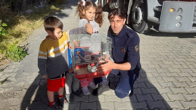 Hatay'da kafesinden kaçan papağanı itfaiye yakaladı