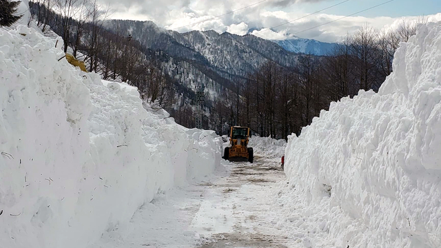 Artvin'de çığ nedeniyle kapanan 6 köy yolu ulaşıma açıldı