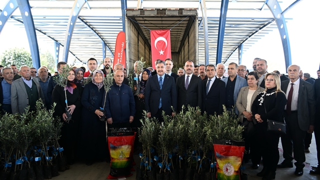 Osmaniye'de üreticilere 11 bin 500 zeytin fidanı dağıtıldı