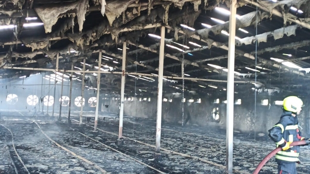 Mersin'de tavuk çiftliğinde çıkan yangın söndürüldü