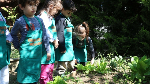 Yağmur suyuyla sebze yetiştiren anaokulu öğrencileri, kendi yemeklerini hazırlıyor