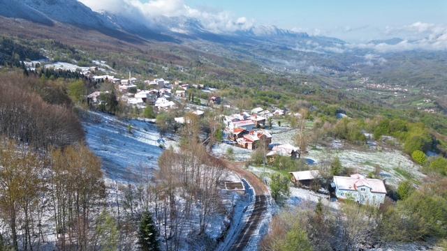 Galeri