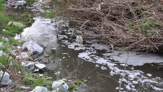 Kırklareli'de Saranlı Deresi'nde kirlilik nedeniyle köpükler oluştu