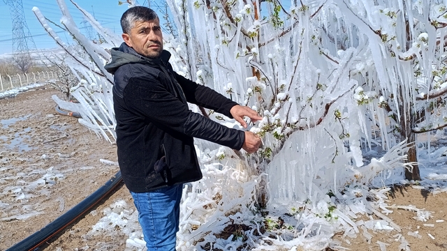 Çiftçilerden 'zirai don'a karşı 'Spring' sistemi (2)