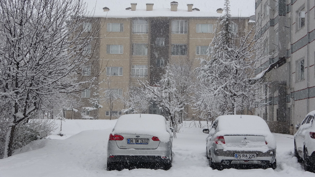 Bitlis'te kardan kapanan 60 köy yolu ulaşıma açıldı