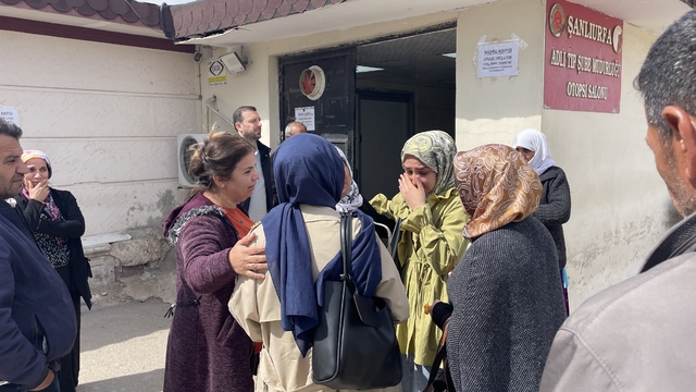 Şanlıurfa'da sahipsiz köpeklerden kaçtığı sırada otomobilin çarptığı üniversite öğrencisi öldü